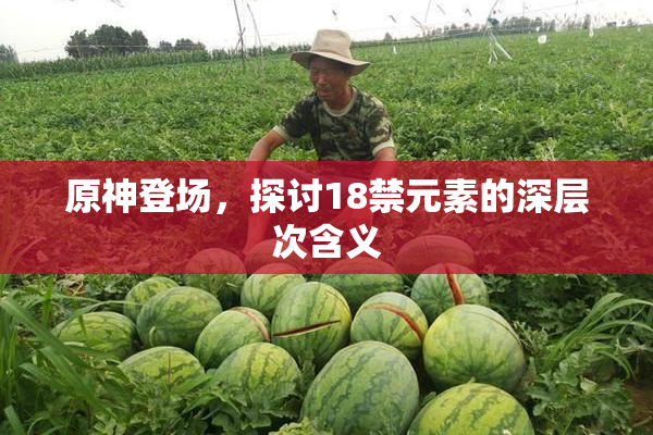 原神登场，探讨18禁元素的深层次含义