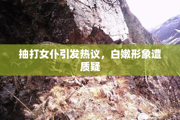 抽打女仆引发热议，白嫩形象遭质疑