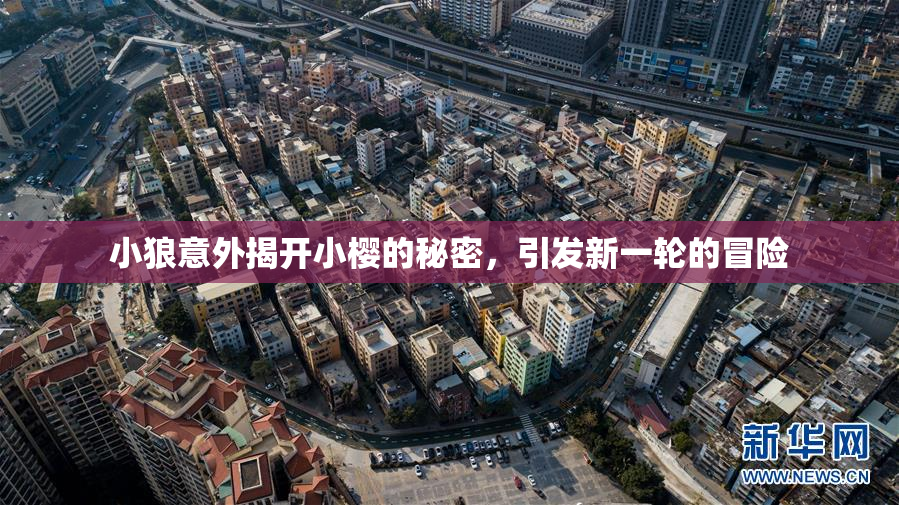 小狼意外揭开小樱的秘密，引发新一轮的冒险