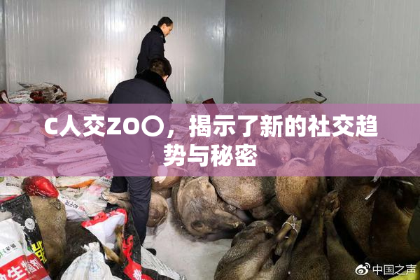 C人交ZO〇，揭示了新的社交趋势与秘密