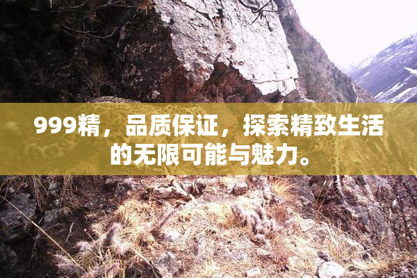 999精，品质保证，探索精致生活的无限可能与魅力。
