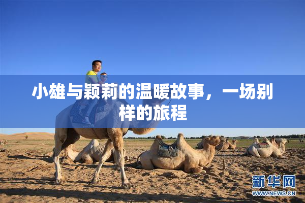 小雄与颖莉的温暖故事，一场别样的旅程