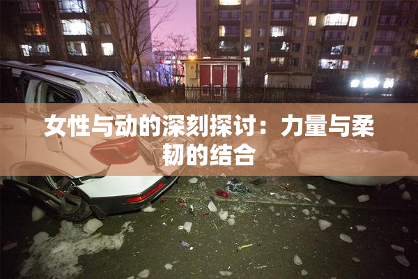 女性与动的深刻探讨：力量与柔韧的结合