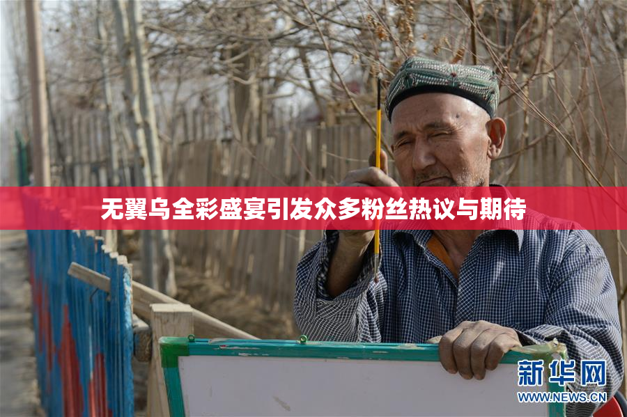 无翼乌全彩盛宴引发众多粉丝热议与期待