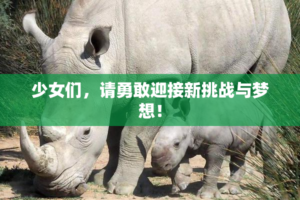 少女们，请勇敢迎接新挑战与梦想！