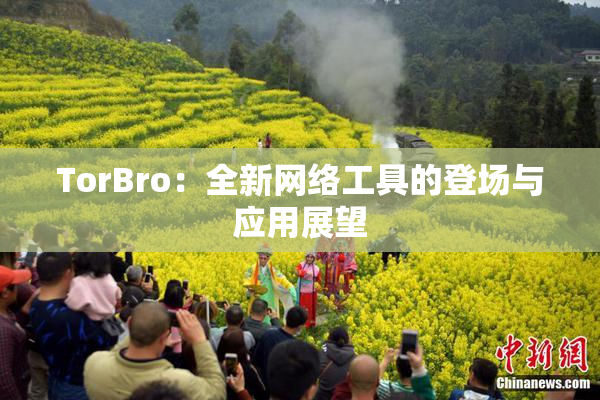 TorBro：全新网络工具的登场与应用展望