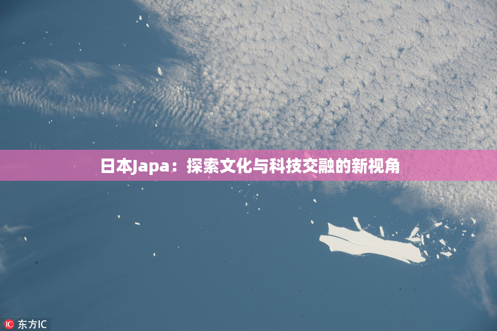 日本Japa：探索文化与科技交融的新视角