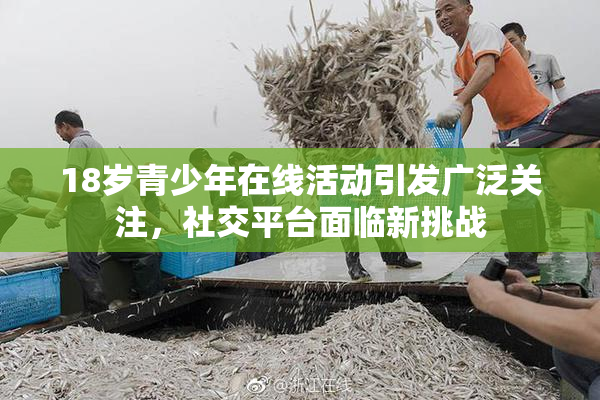 18岁青少年在线活动引发广泛关注，社交平台面临新挑战