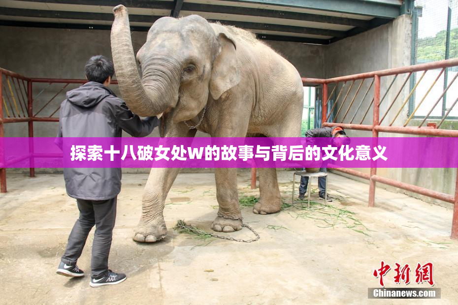 探索十八破女处W的故事与背后的文化意义