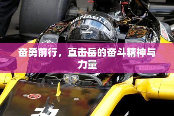 奋勇前行，直击岳的奋斗精神与力量