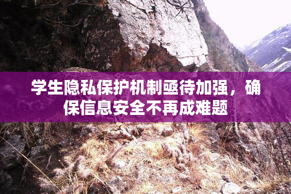 学生隐私保护机制亟待加强，确保信息安全不再成难题