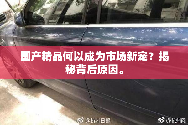 国产精品何以成为市场新宠？揭秘背后原因。