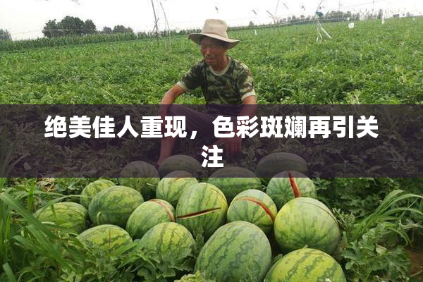 绝美佳人重现，色彩斑斓再引关注