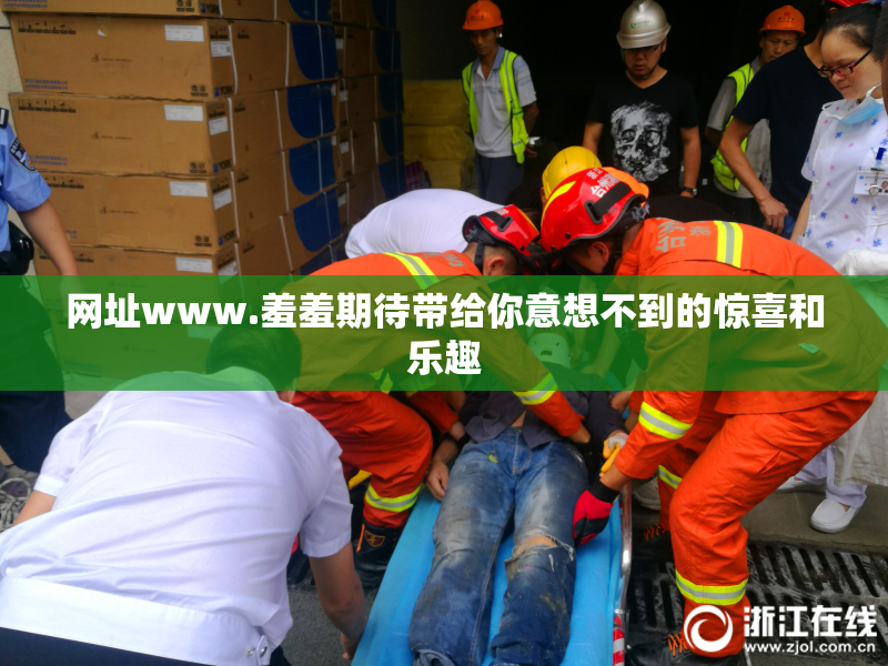 网址www.羞羞期待带给你意想不到的惊喜和乐趣