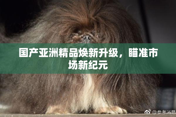 国产亚洲精品焕新升级，瞄准市场新纪元