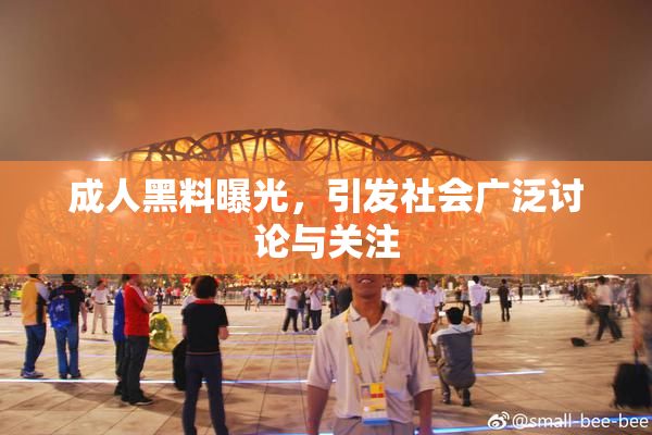 成人黑料曝光，引发社会广泛讨论与关注