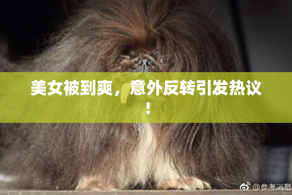 美女被到爽，意外反转引发热议！