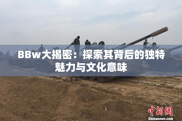 BBw大揭密：探索其背后的独特魅力与文化意味