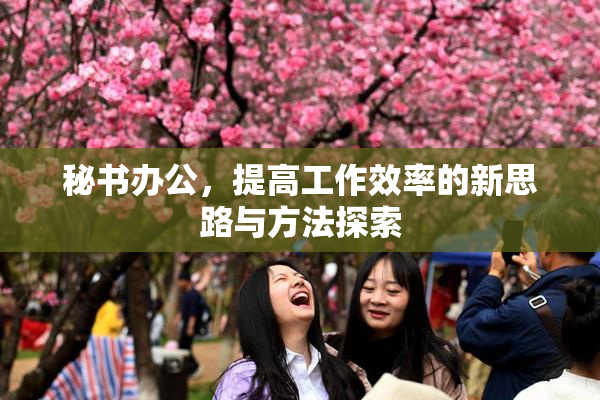 秘书办公，提高工作效率的新思路与方法探索