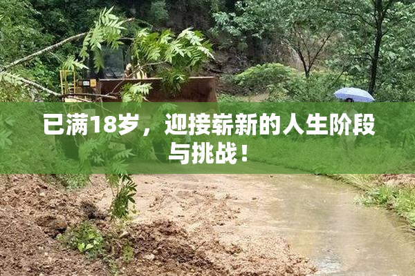 已满18岁，迎接崭新的人生阶段与挑战！