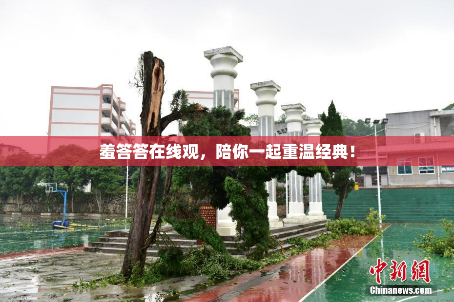 羞答答在线观，陪你一起重温经典！