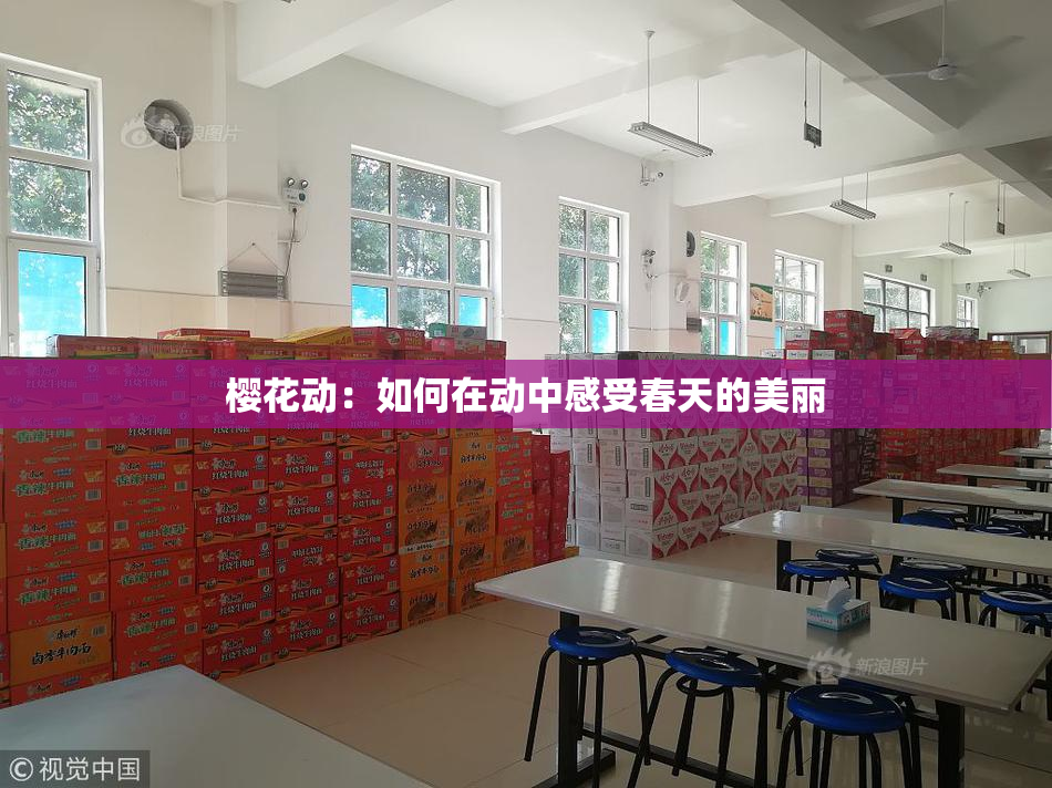 樱花动：如何在动中感受春天的美丽