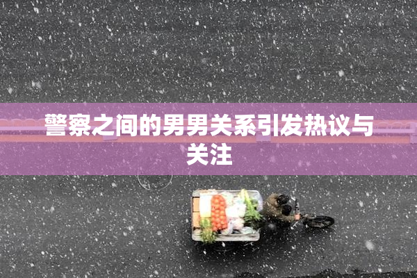 警察之间的男男关系引发热议与关注