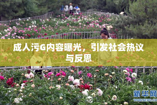 成人污G内容曝光，引发社会热议与反思