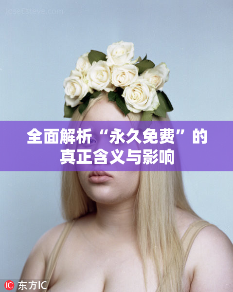全面解析“永久免费”的真正含义与影响