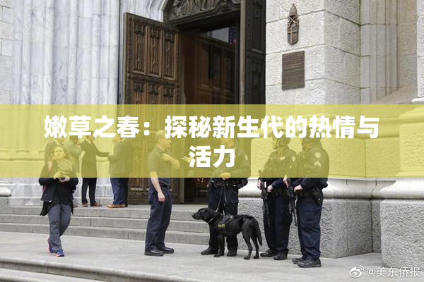 嫩草之春：探秘新生代的热情与活力