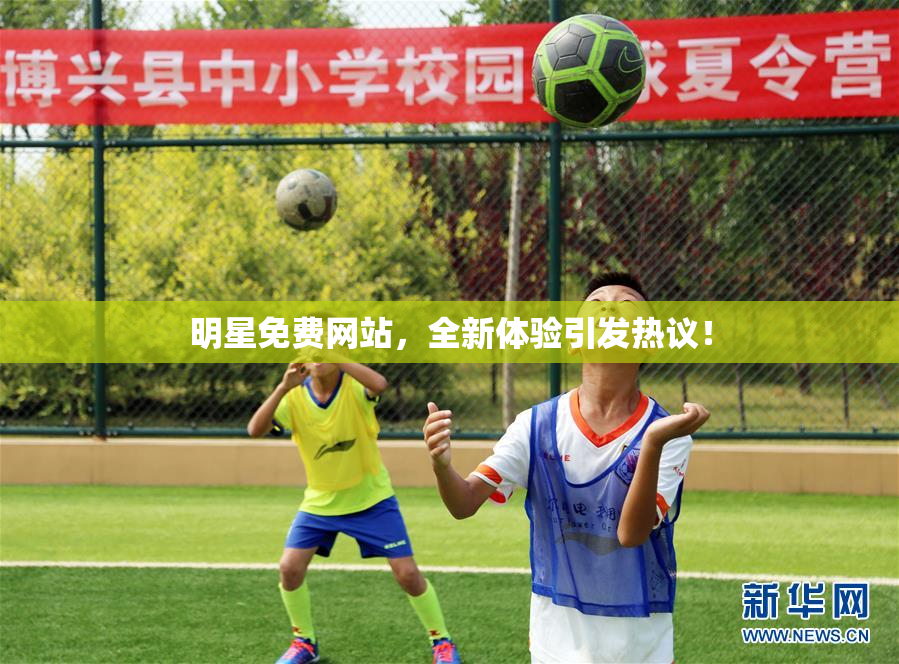 明星免费网站，全新体验引发热议！