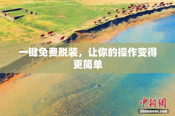 一键免费脱装，让你的操作变得更简单