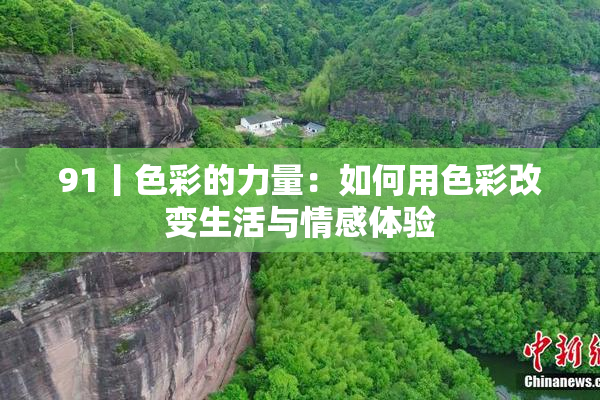 91丨色彩的力量：如何用色彩改变生活与情感体验
