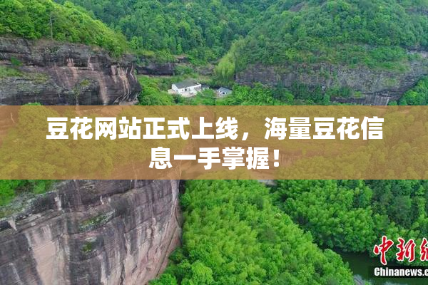豆花网站正式上线，海量豆花信息一手掌握！