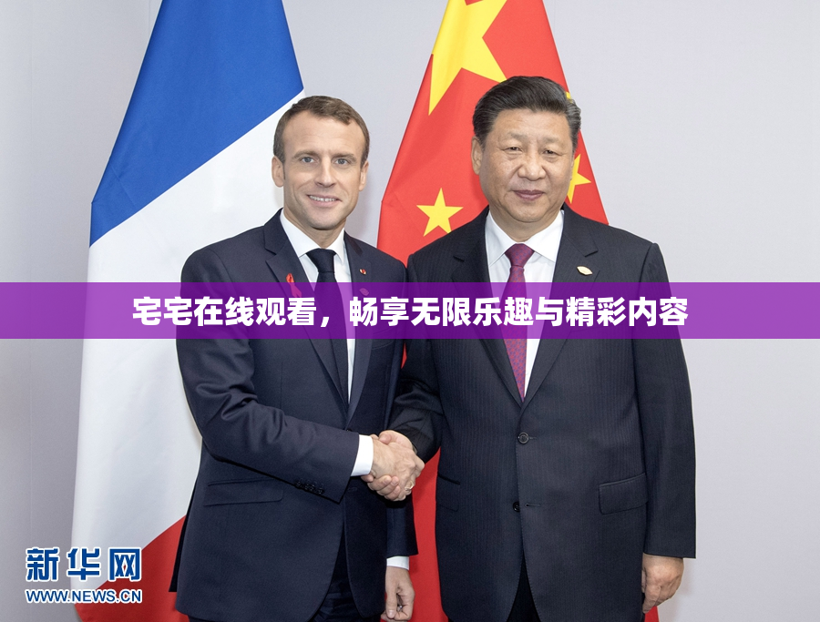 宅宅在线观看，畅享无限乐趣与精彩内容