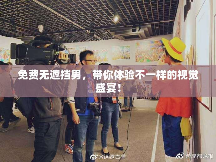 免费无遮挡男，带你体验不一样的视觉盛宴！