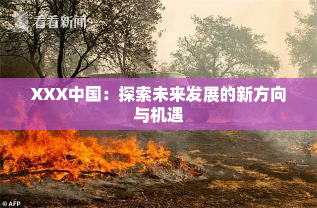 XXX中国：探索未来发展的新方向与机遇