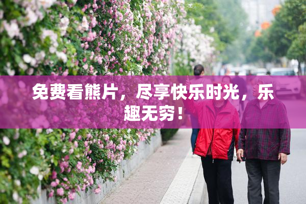 免费看熊片，尽享快乐时光，乐趣无穷！