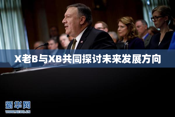 X老B与XB共同探讨未来发展方向