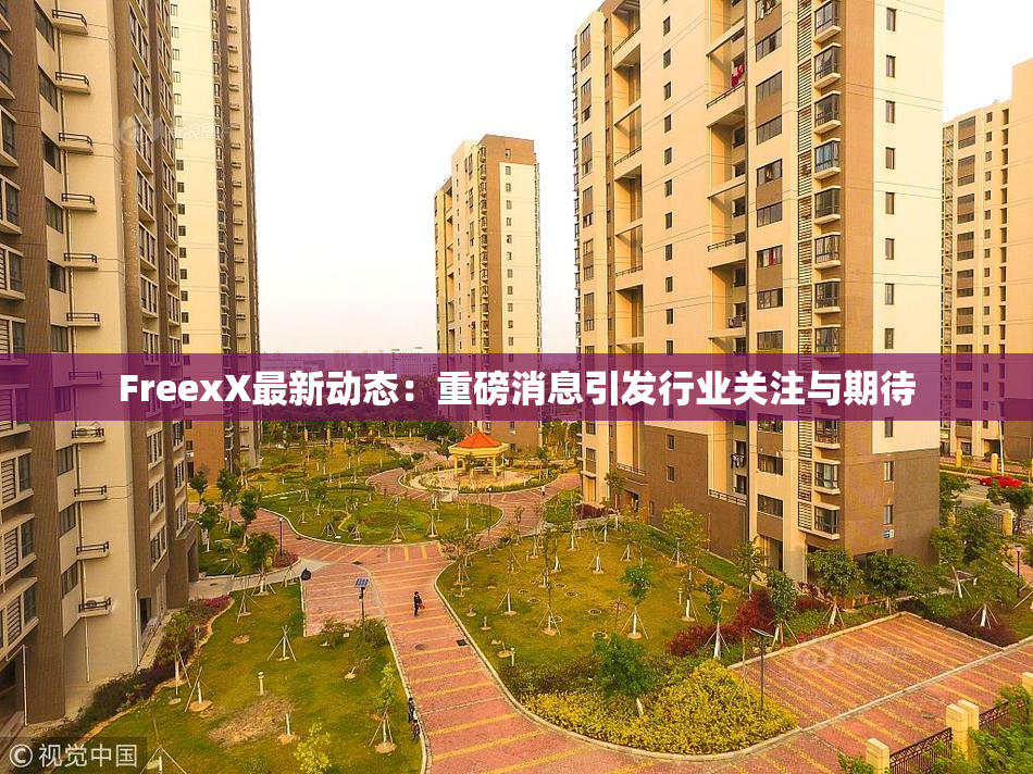 FreexX最新动态：重磅消息引发行业关注与期待