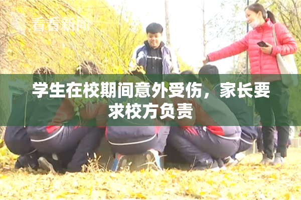 学生在校期间意外受伤，家长要求校方负责