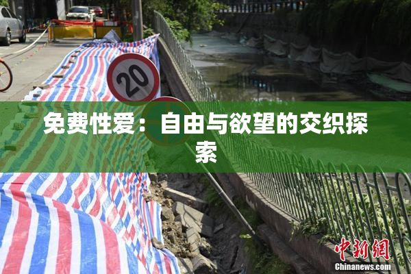 免费性爱：自由与欲望的交织探索