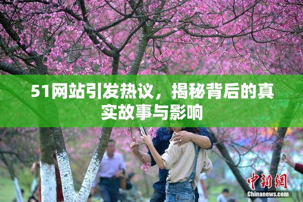 51网站引发热议，揭秘背后的真实故事与影响
