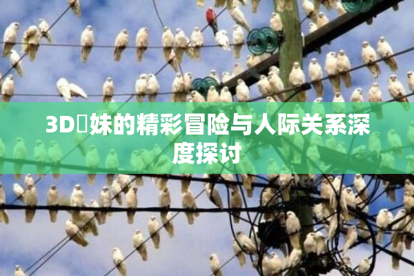 3D姉妹的精彩冒险与人际关系深度探讨