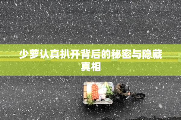 少萝认真扒开背后的秘密与隐藏真相