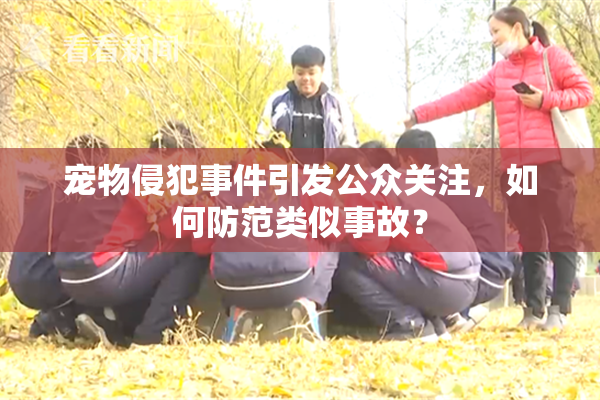 宠物侵犯事件引发公众关注，如何防范类似事故？