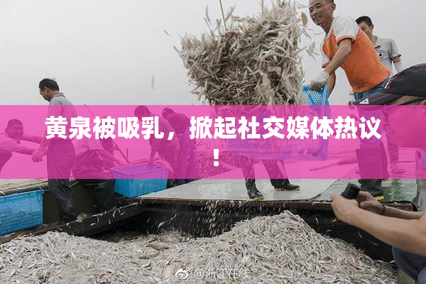 黄泉被吸乳，掀起社交媒体热议！