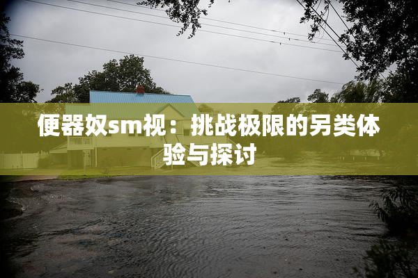 便器奴sm视：挑战极限的另类体验与探讨