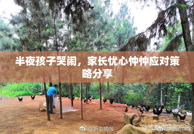 半夜孩子哭闹，家长忧心忡忡应对策略分享