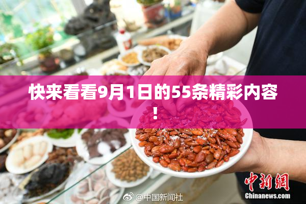 快来看看9月1日的55条精彩内容！